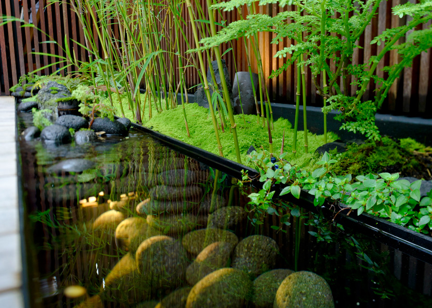 Zen garden in Sydney